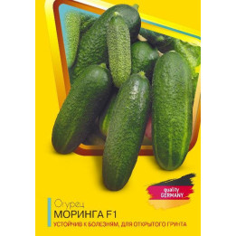 Moryn F1 / Морин F1