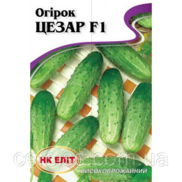 Світозар F1