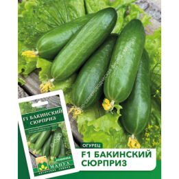 Сюрприз 66 F1
