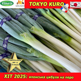 Tokyo Kuro / Токіо Куро
