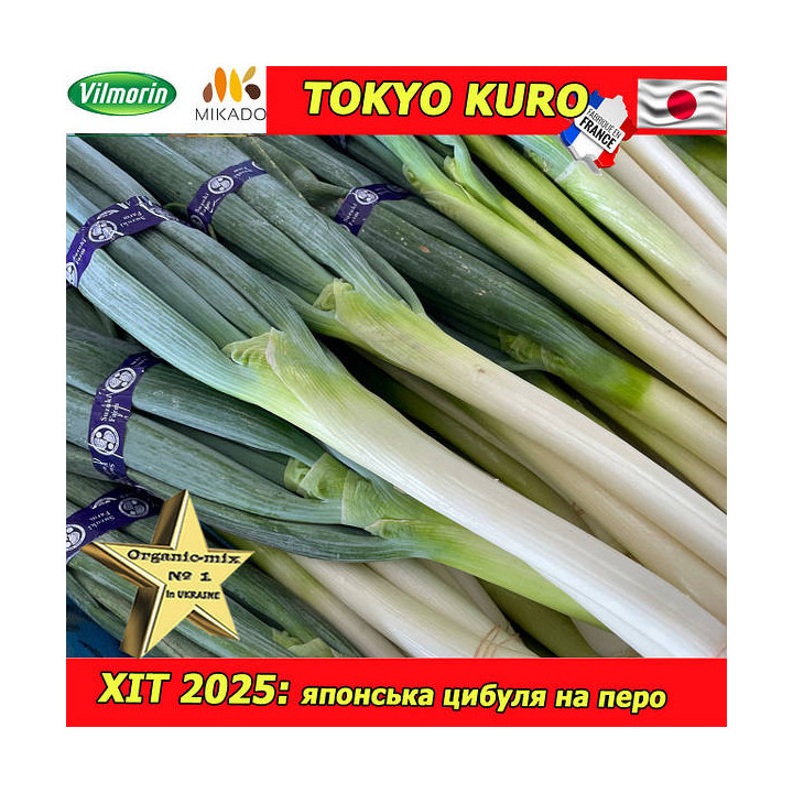 Tokyo Kuro / Токіо Куро