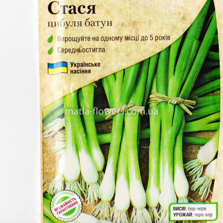Стася