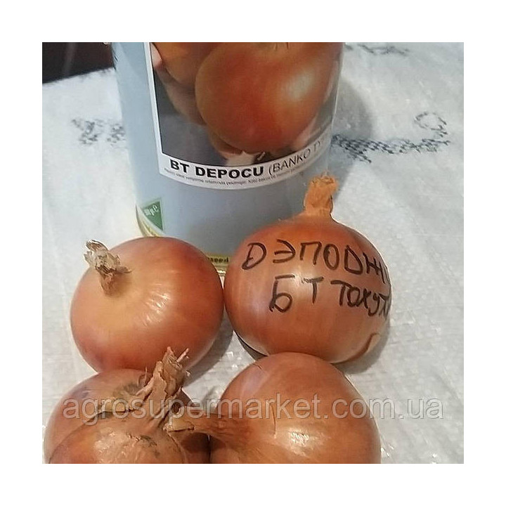 BT DEPOCU / БТ ДЕПОДЖУ