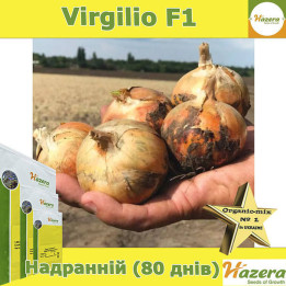 Virgilio / Вірджиліо