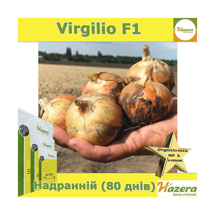 Virgilio / Вірджиліо