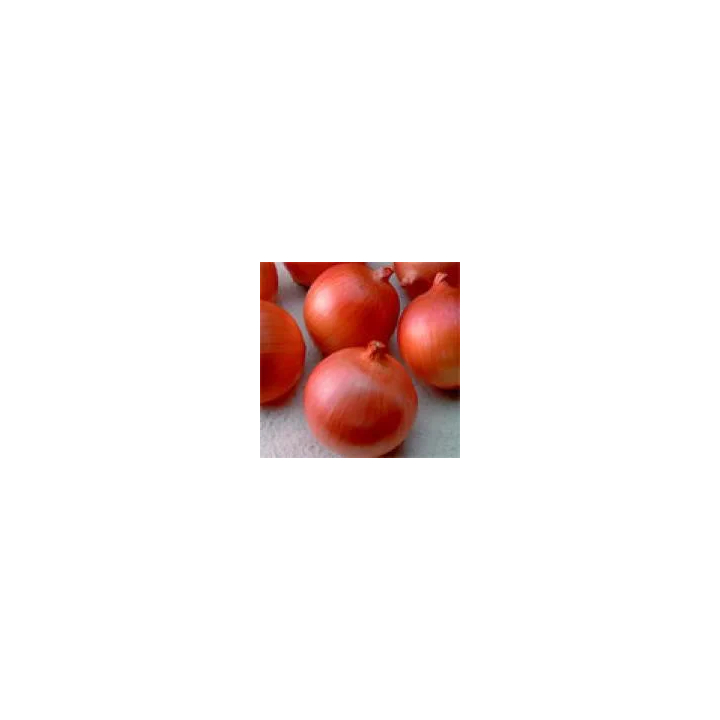 Red Spring / Ред Спрінг