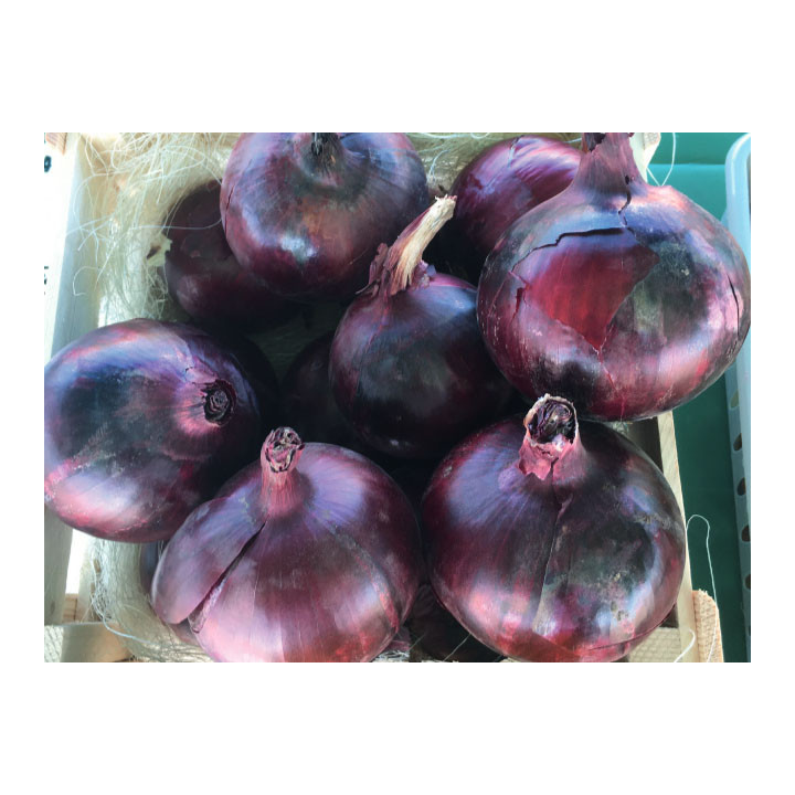 Tannat / Таннат