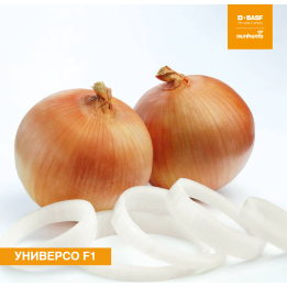 Universo / Універсо