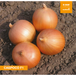 Sabroso / Cабросо
