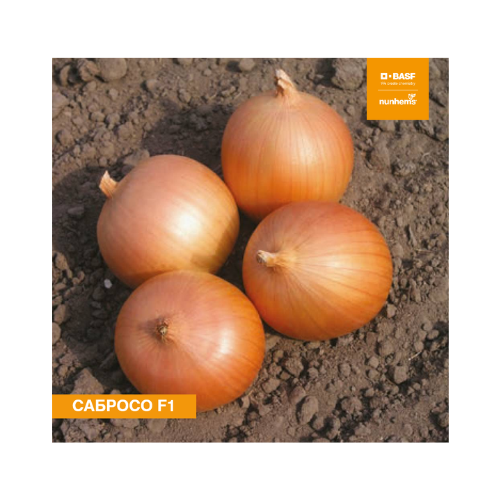 Sabroso / Cабросо