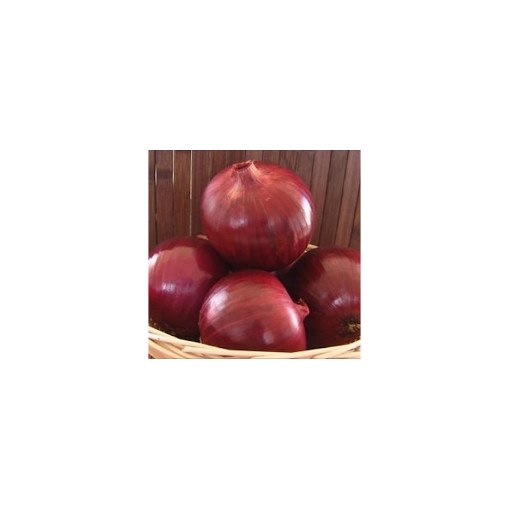 Grateful Red F1 / Грейтфул Ред F1