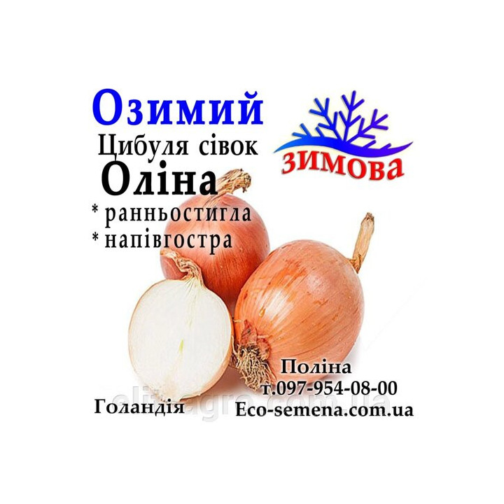 Олина / Оліна