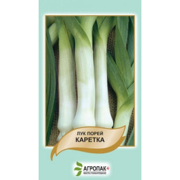 Каретка