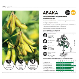 Abaca / Абака