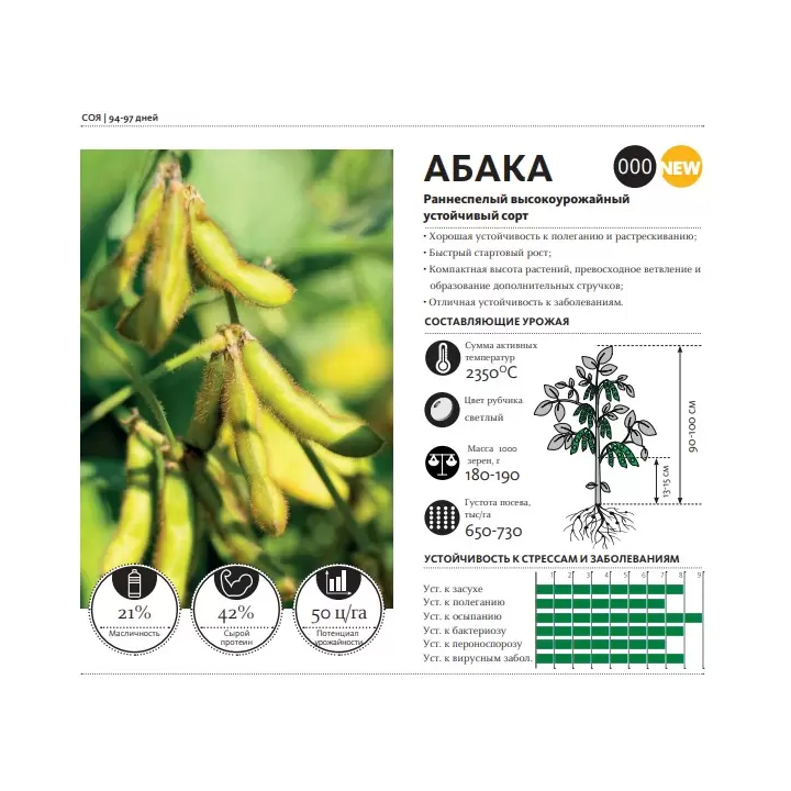 Abaca / Абака