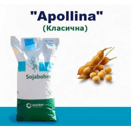 Apollina / Аполліна
