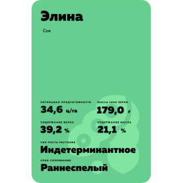 Elina / Еліна