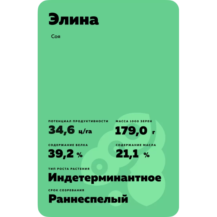 Elina / Еліна