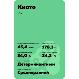 Kyoto / Кіото