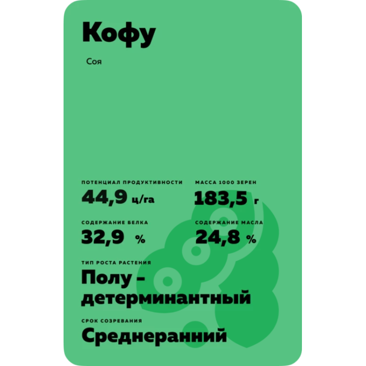 Kofu / Кофу