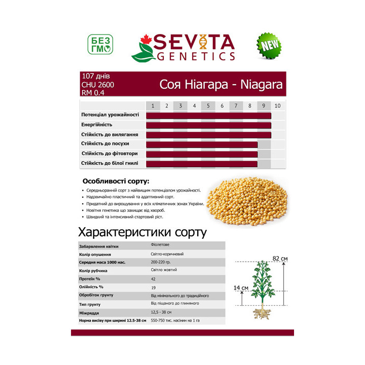 Niagara / Ніагара