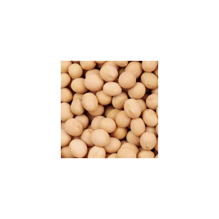OAC Kamran / ОАЦ Камран