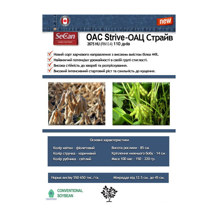 OAC Strive / ОАЦ Страйв