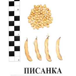 Писанка