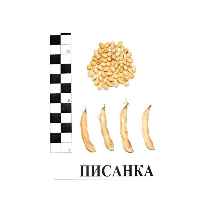 Писанка