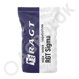 RGT SPEEDA / РЖТ СПЕДА