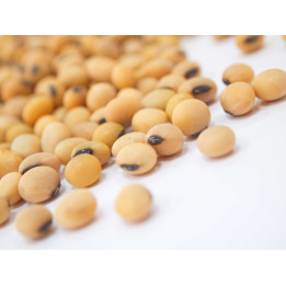 Sultana / Султана