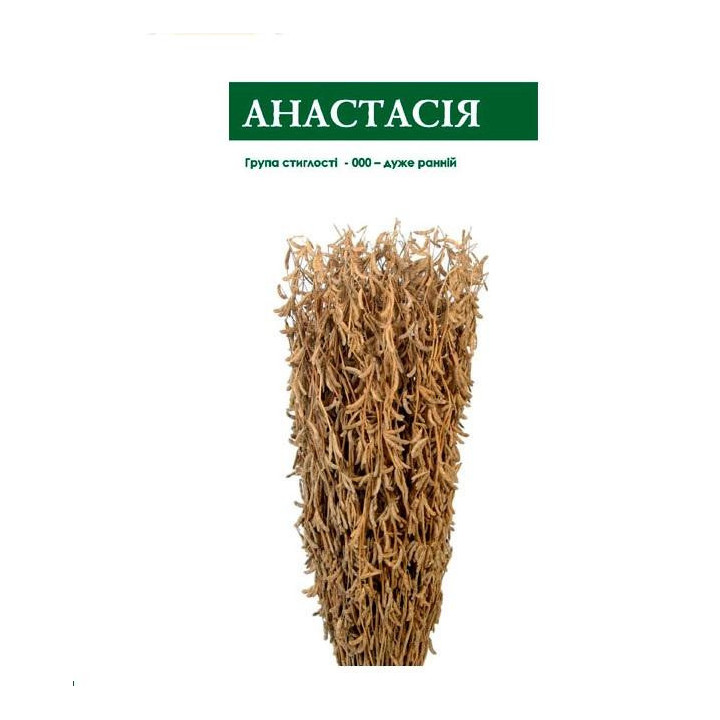 Анастасія