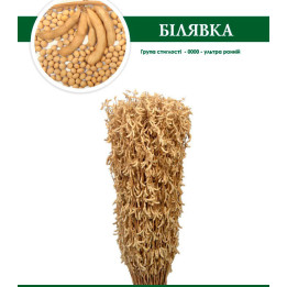 Білявка
