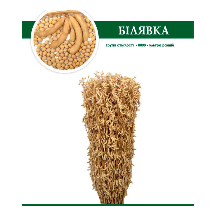 Білявка