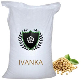 Иванка / Іванка