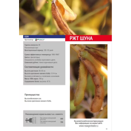 RGT SHOUNA / РЖТ ШУНА