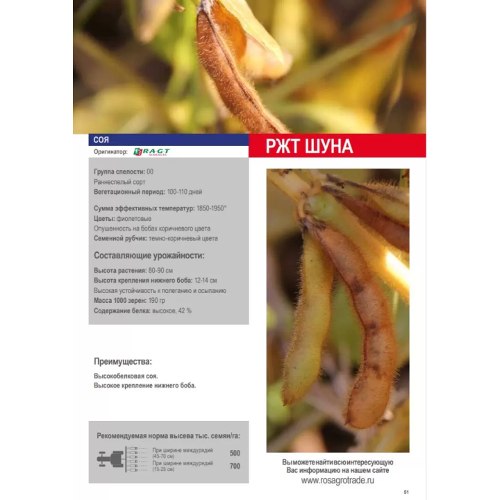 RGT SHOUNA / РЖТ ШУНА