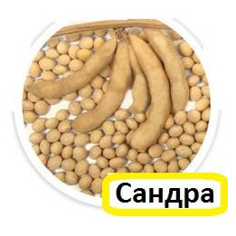 Сандра