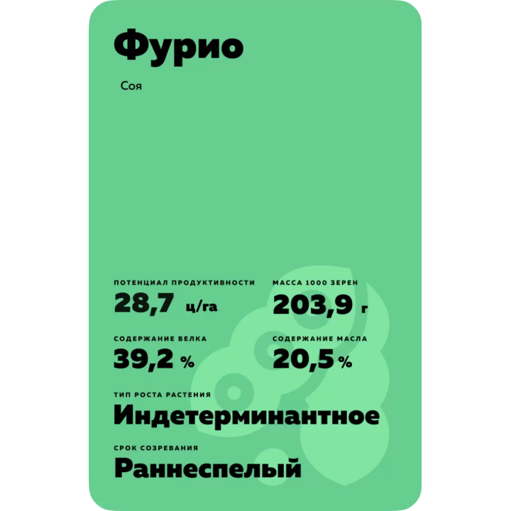 Furio / Фуріо