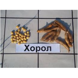 Horol / Хорол