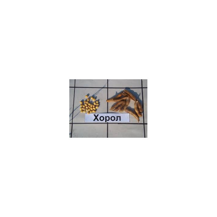 Horol / Хорол