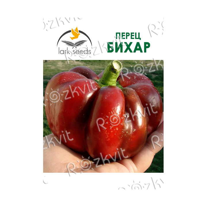 Bihar / Біхар