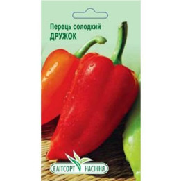 Дружок