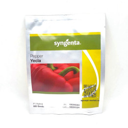 YECLA / ЄКЛА