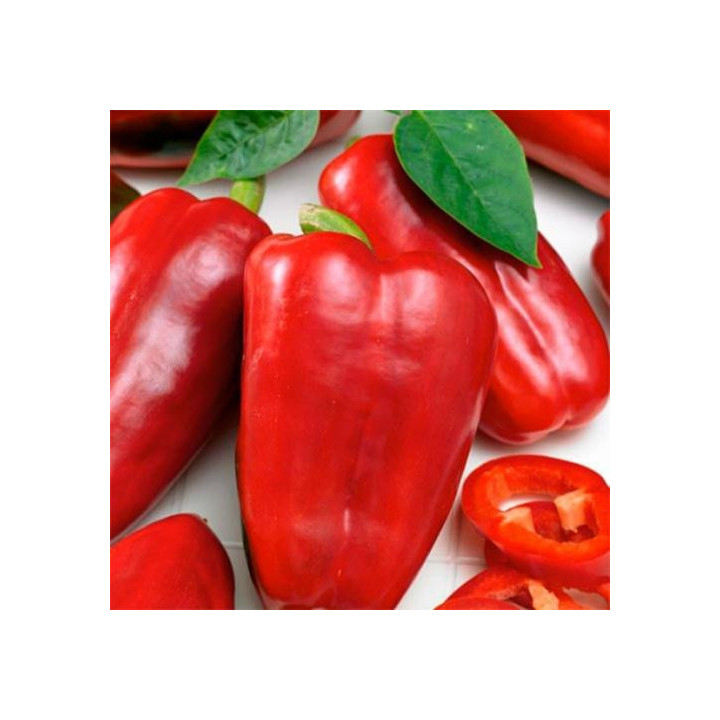 Каньйон