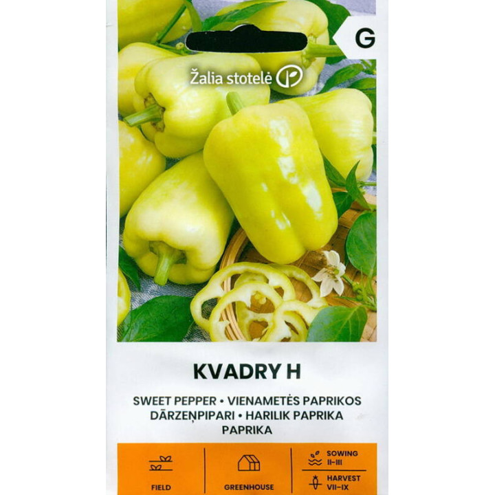 Kvadry F1 / Квадрі F1