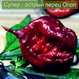 Orginale / Оргінале