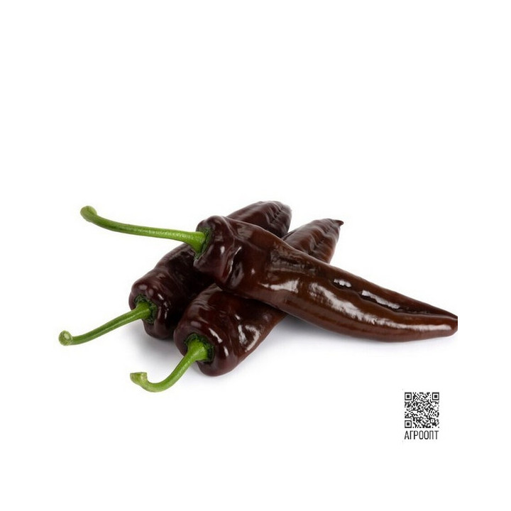 Chocolony / Чоколоні