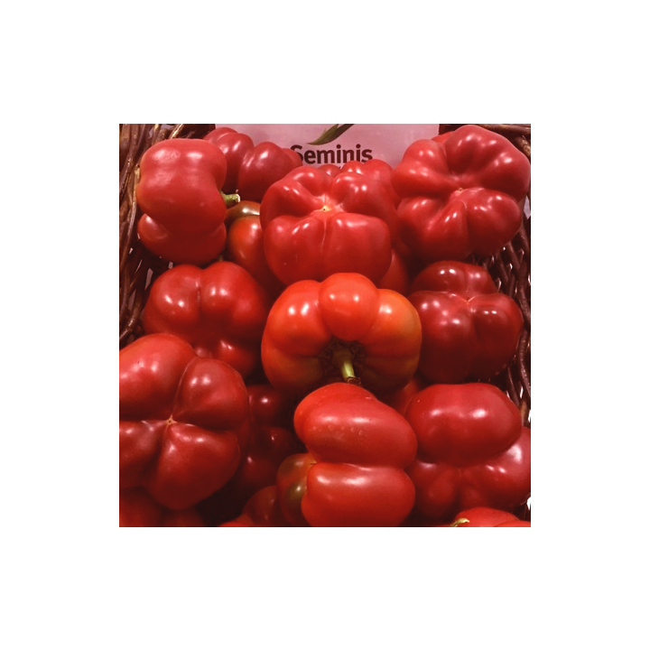 Gogomax / Гогомакс