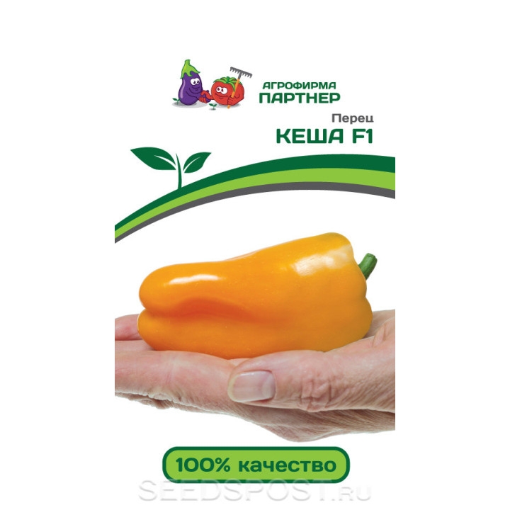 Keessie / Кейсі